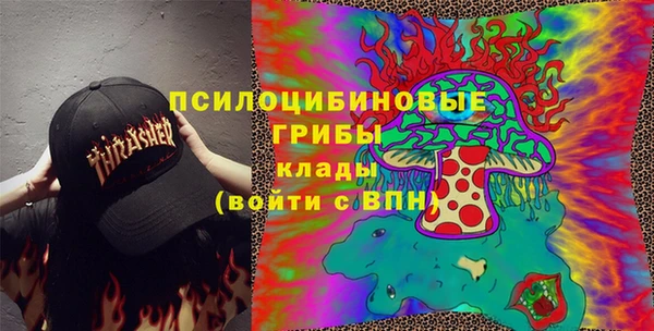 крисы Верея