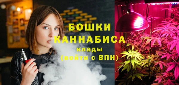 крисы Верея
