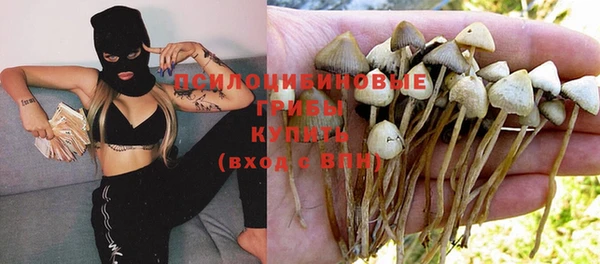 apvp Верхний Тагил