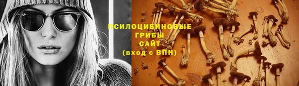 apvp Верхний Тагил