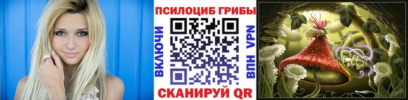 Купить где  Тейково  Галлюциногенные грибы прущие грибы 